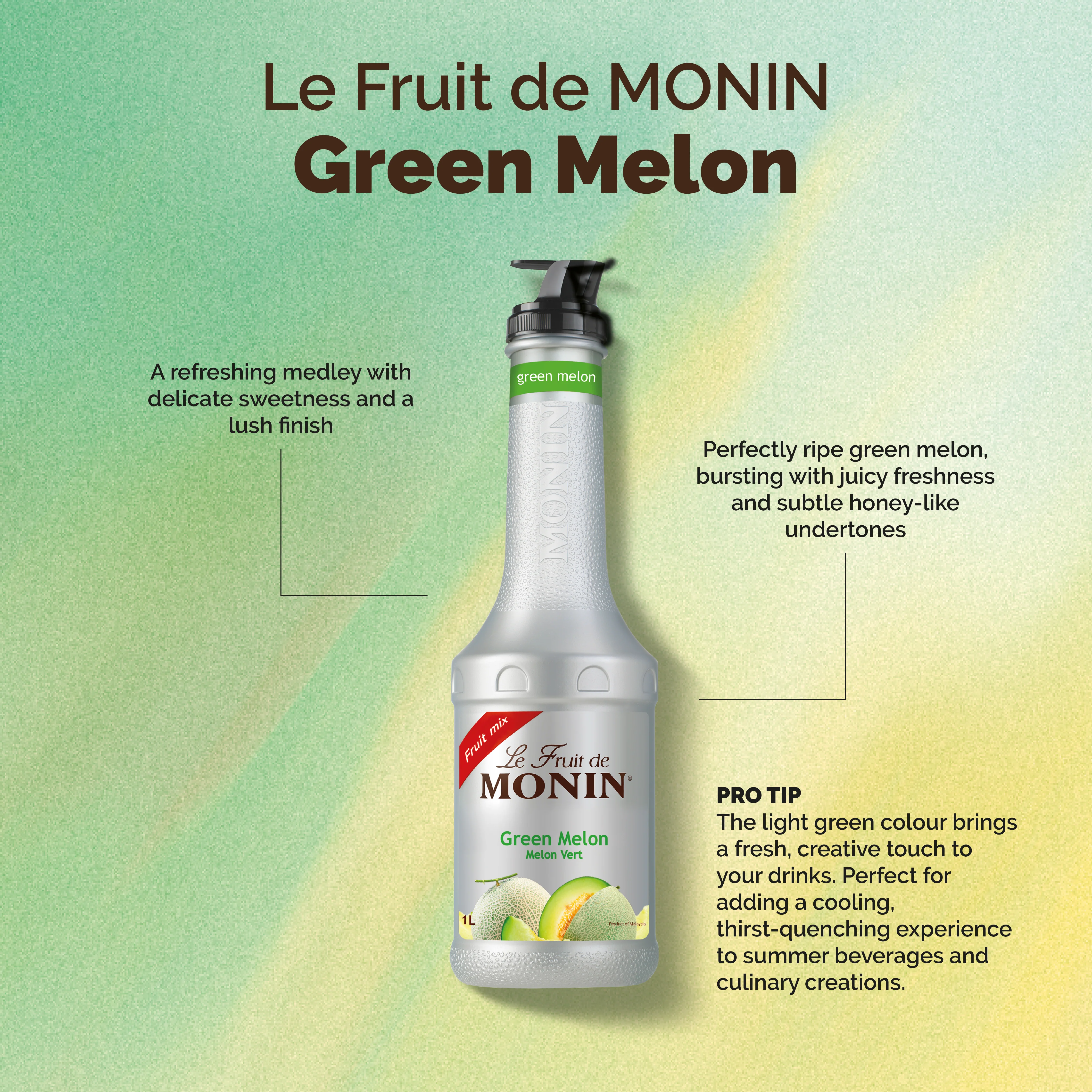 Le Fruit de MONIN Green Melon - Image 2