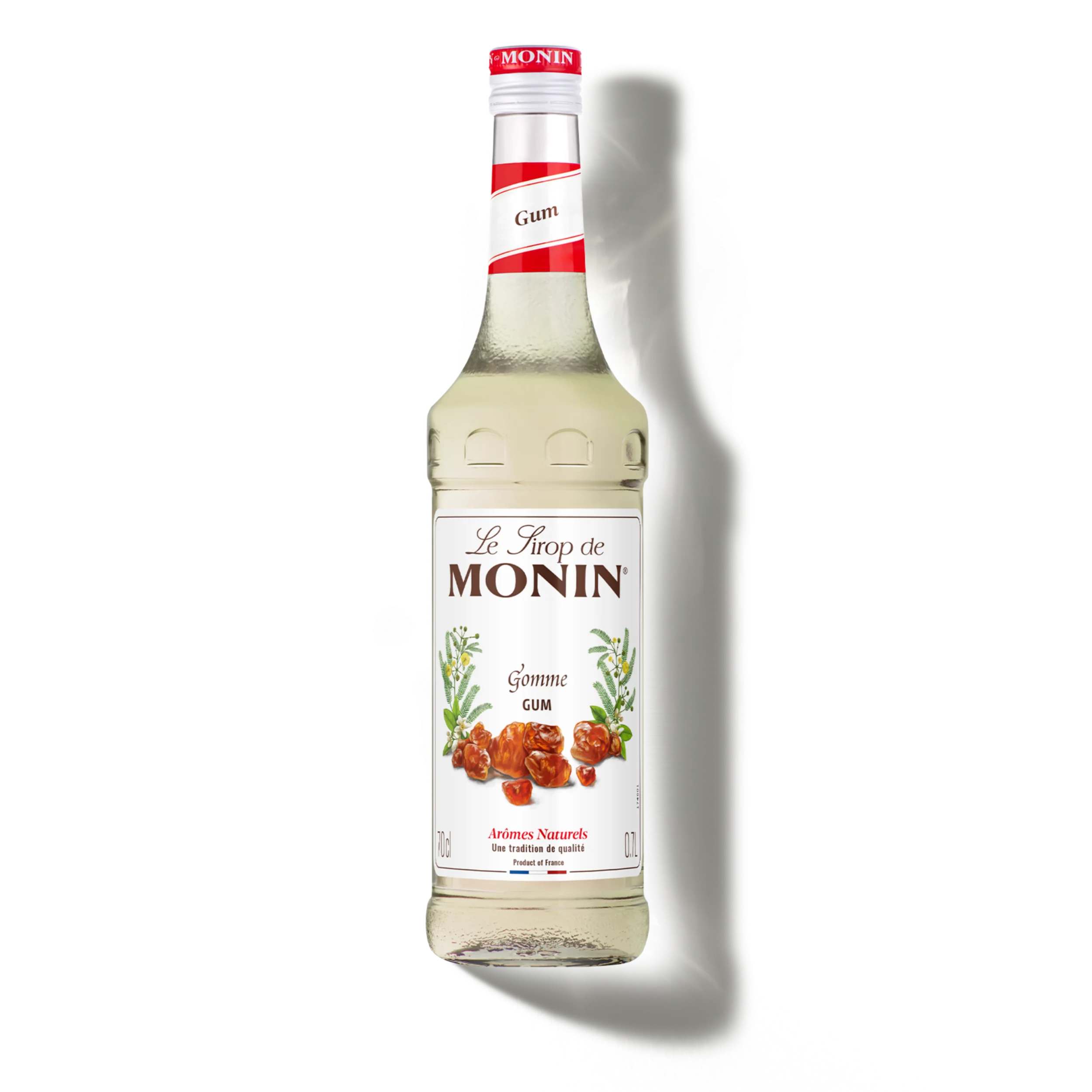 Le Sirop de MONIN Gum