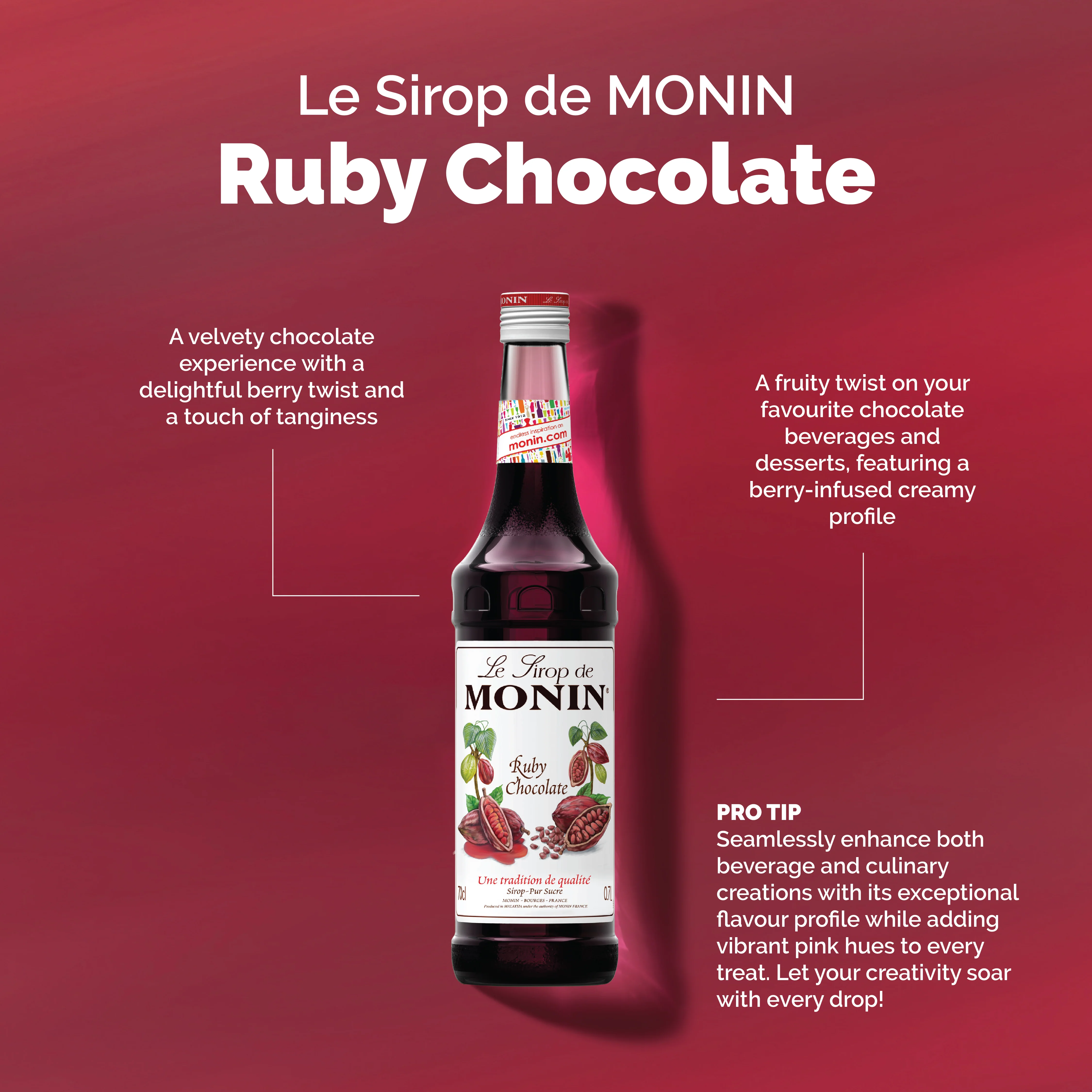 Le Sirop de MONIN Ruby Chocolate - Image 2
