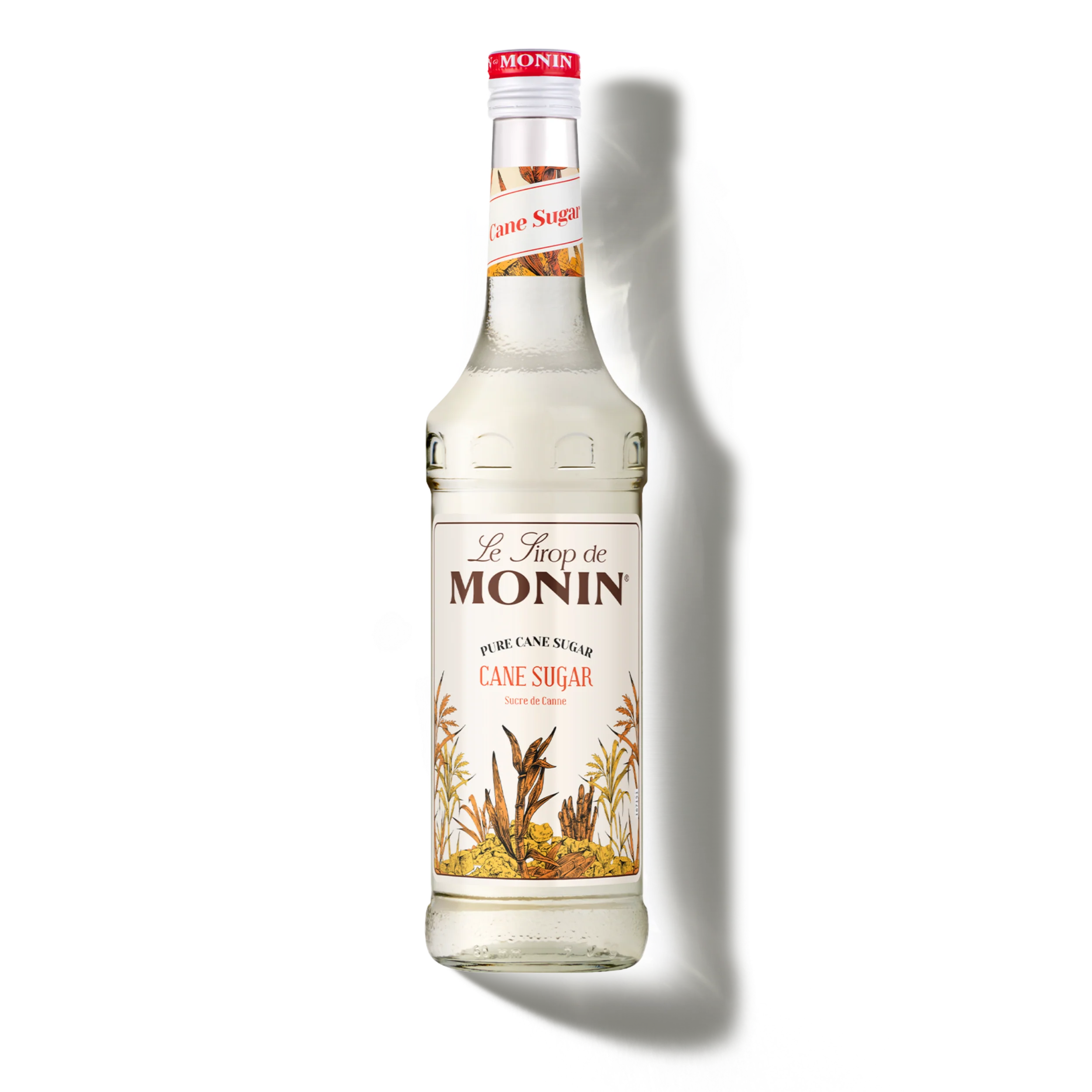 Le Sirop de MONIN Pure Cane Sugar